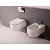 311501 SAPHO KERASAN WC FLO FALI 36x34x50cm