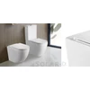 WF00097 WELLIS Sophia álló RIMLESS WC WF00097