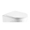 WF00098 WELLIS Sophia fali rimless WC WF00098