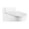 WF00110 WELLIS Clement monoblokkos rimless WC V2